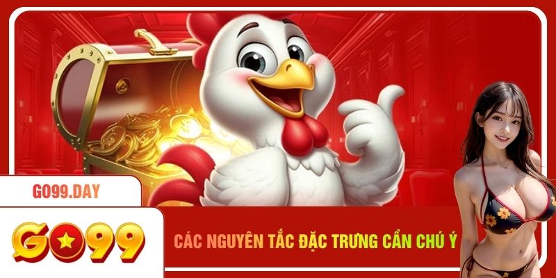 Các nguyên tắc đặc trưng cần chú ý