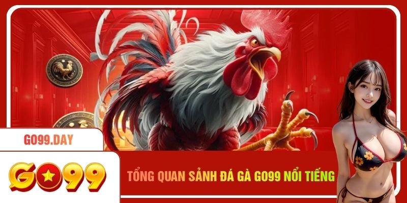 Tổng quan về sảnh đá gà Go99 nổi tiếng